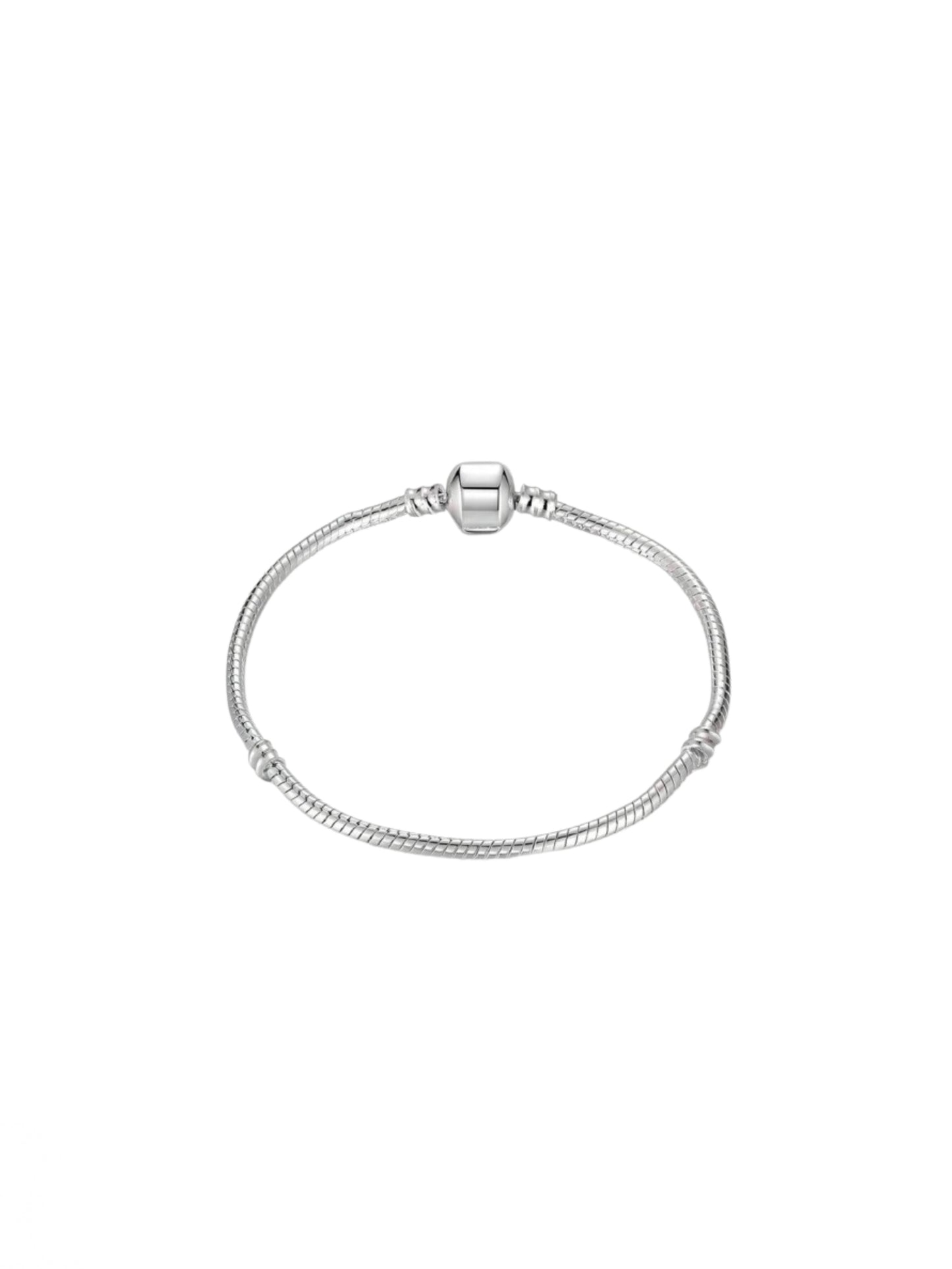 Clasp charm bracelet!